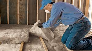 Best Insulation for Existing Homes  in Samson, AL